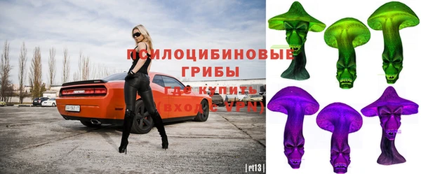 МДМА Снежногорск