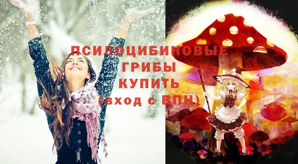стафф Баксан
