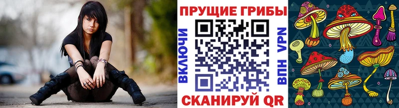 Псилоцибиновые грибы мицелий  цена   Красноуфимск 